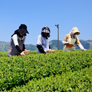 自然が薫り　絆が生きる　自立する村！　みなみやましろ