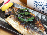 炉端 ひぼし屋 本店