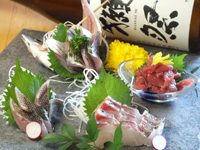 炉端 ひぼし屋 本店